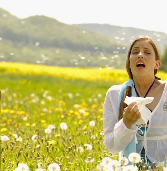 hayfever treatments southampton